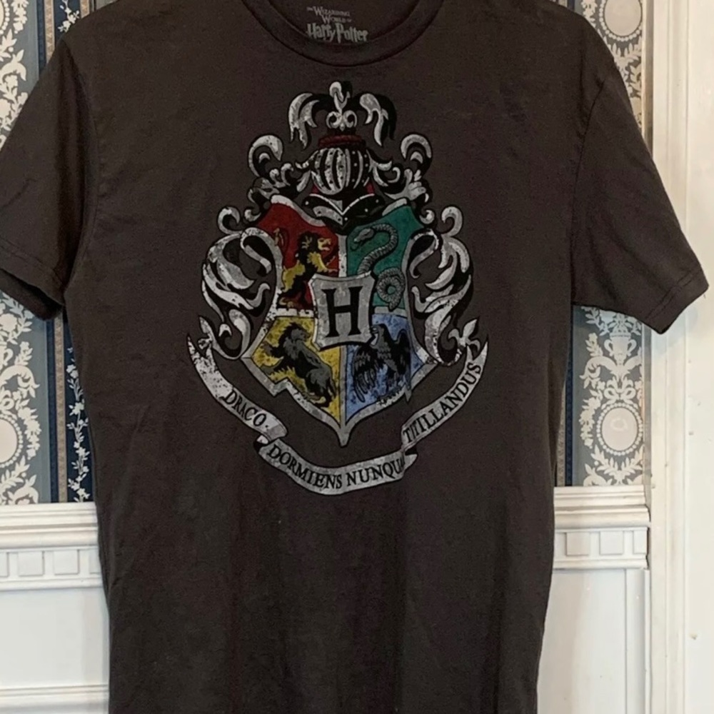 Harry Potter Tee Draco Hogwarts Crest Size M Dark Academia Light Grunge